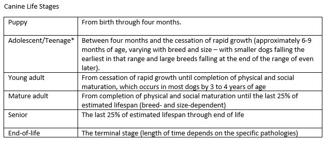 Canine Life Stages chart - Dog age and training