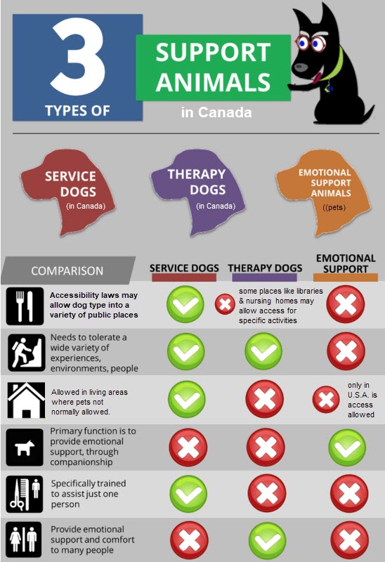 3 types of animal support chart - Service dogs, Therapy dogs, Emotional support