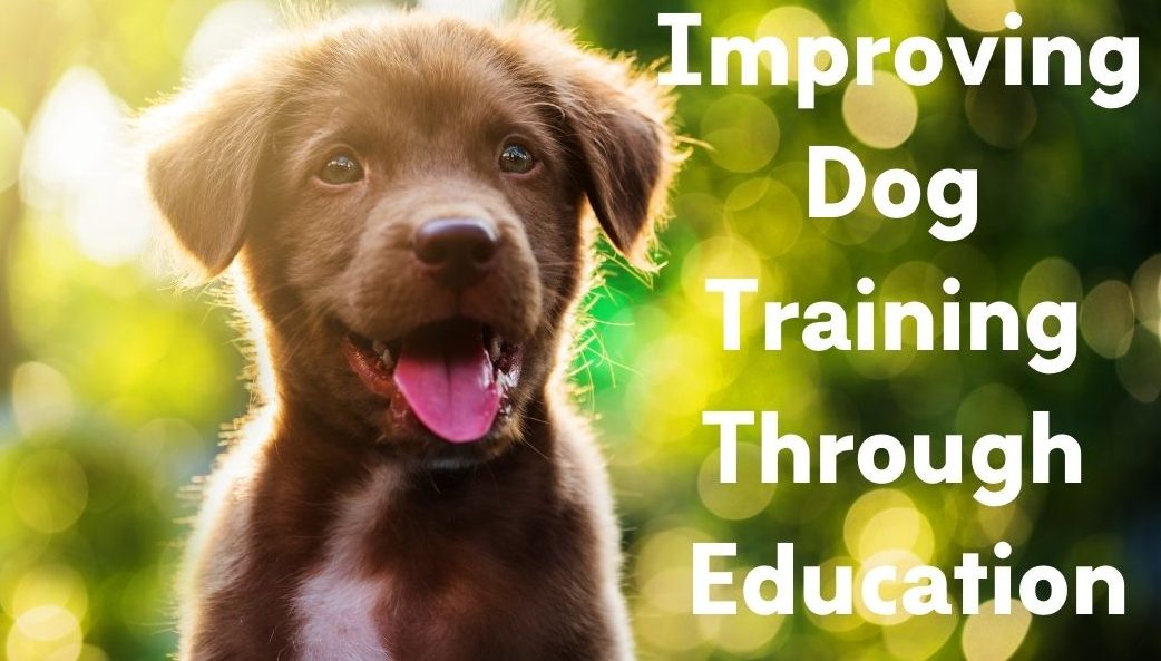 Canadian Association Of Professional Dog Trainers – Improving Dog ...