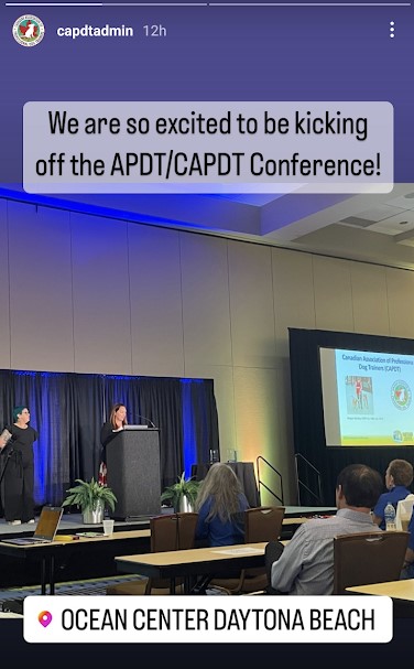 Megan Stanley opening the APDT/CAPDT 2022 Conference in Dayton Beach, Florida
