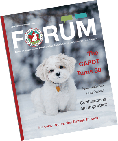 CAPDT FORUM Special Issue