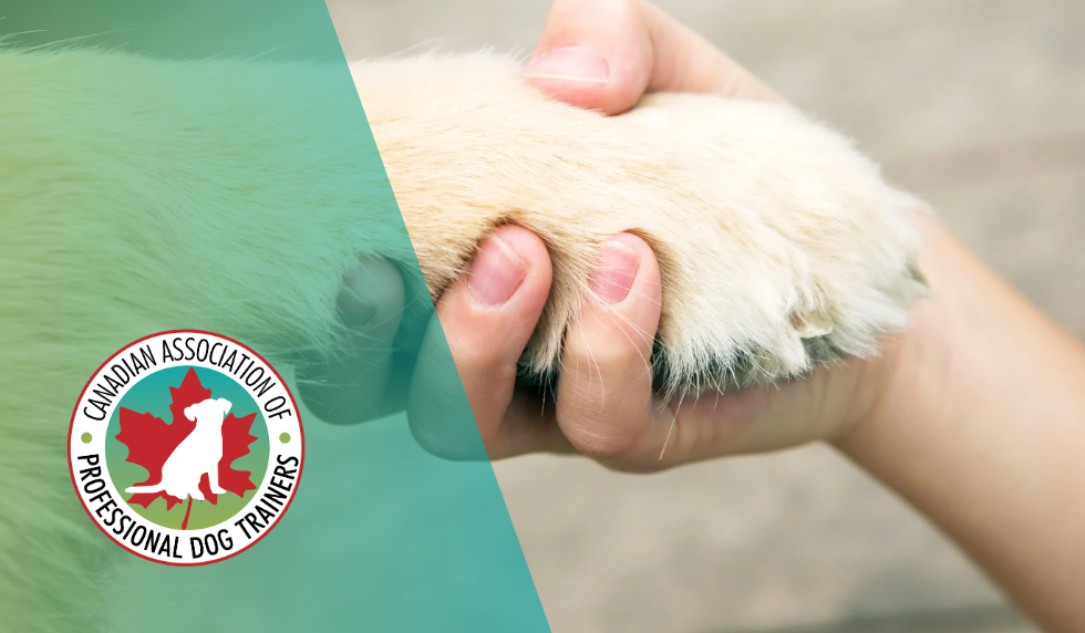 Make Your Membership Count