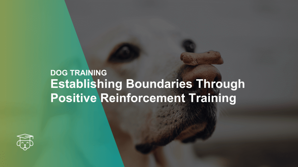 Establishing Boundaries Through Positive Reinforcement Training