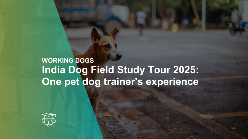India Dog Field Study Tour