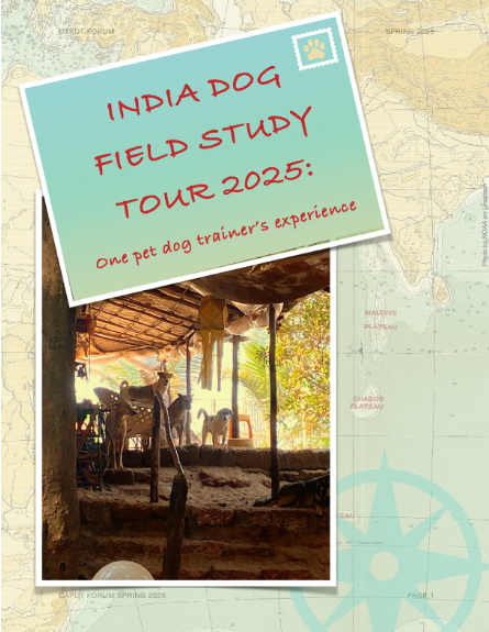 india dog field study tour