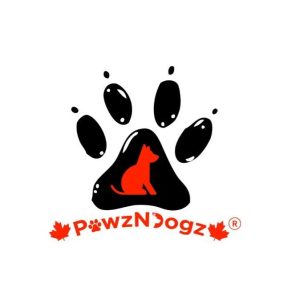 PawzNDogz Snuffle Mat