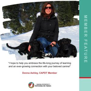 Donna Ashley Capdt member