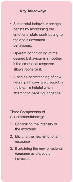 Key Takeaways from Associative Conditioning In Behaviour Work 