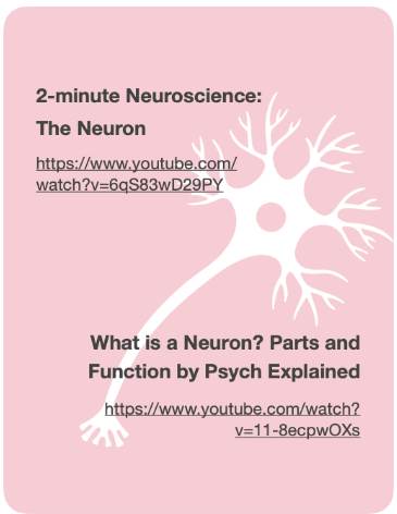 2-minute neuroscience