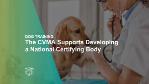 The CVMA Supports Developing a National Certifying Body