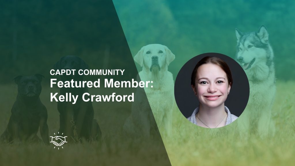 capdt member kelly crawford deib