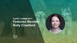 capdt member kelly crawford deib