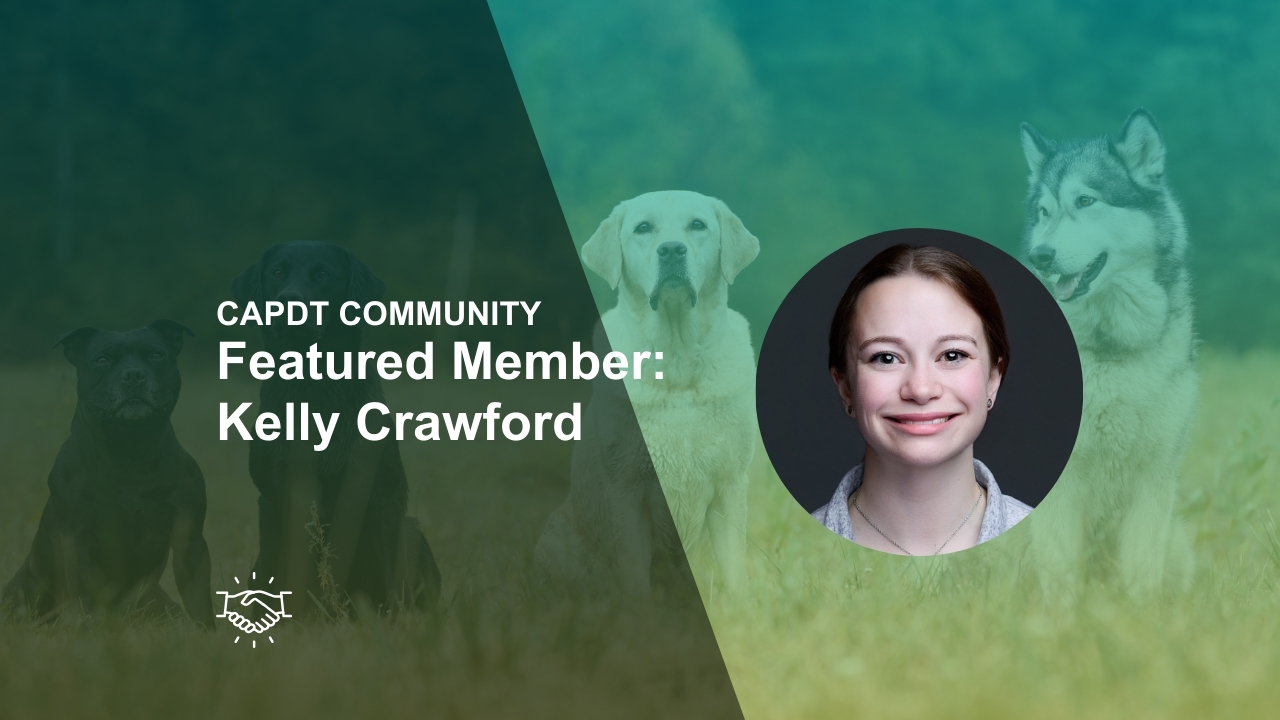 capdt member kelly crawford deib