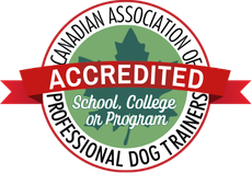 CAPDT Accredited Seal