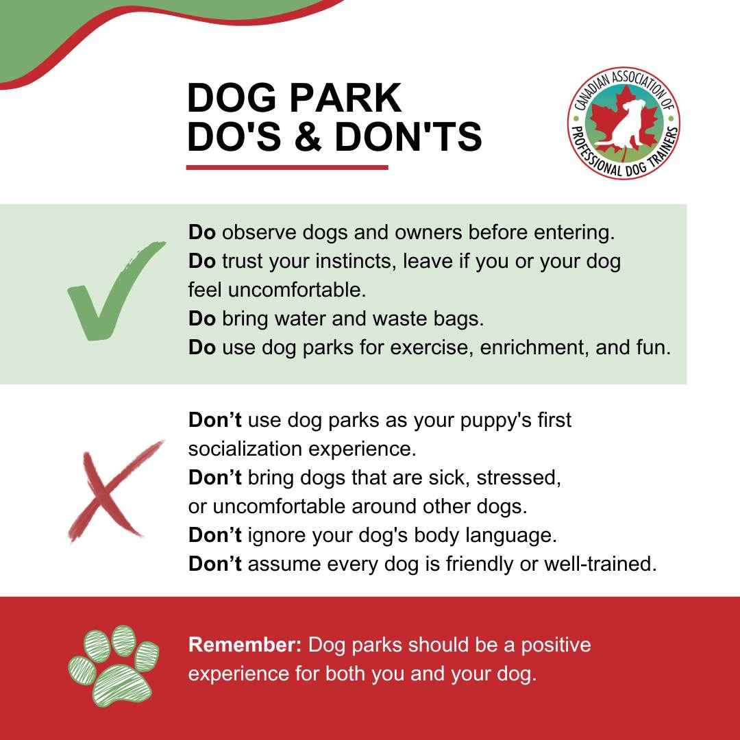 Dog Park Dos and Donts