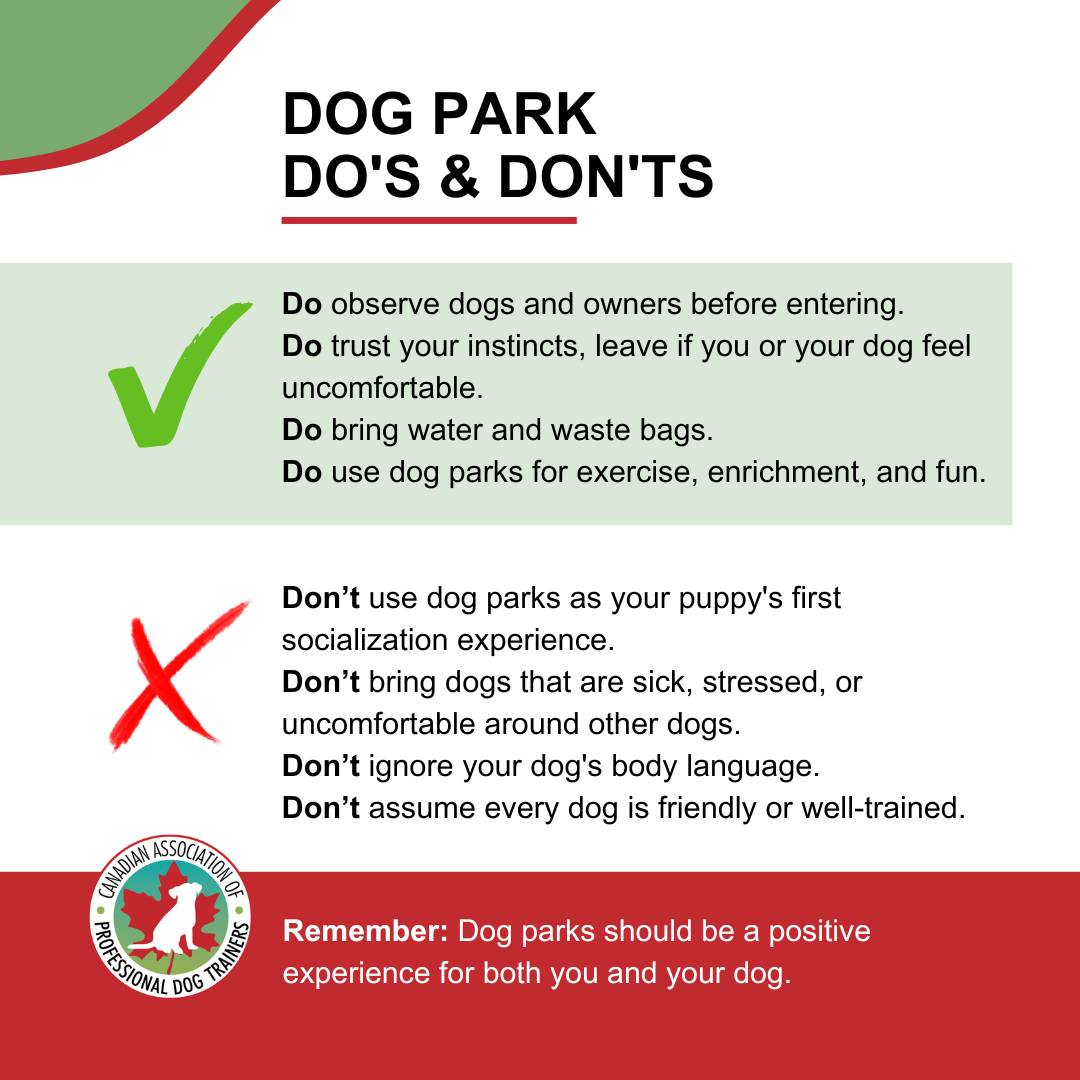 Dog park do's and don'ts CAPDT