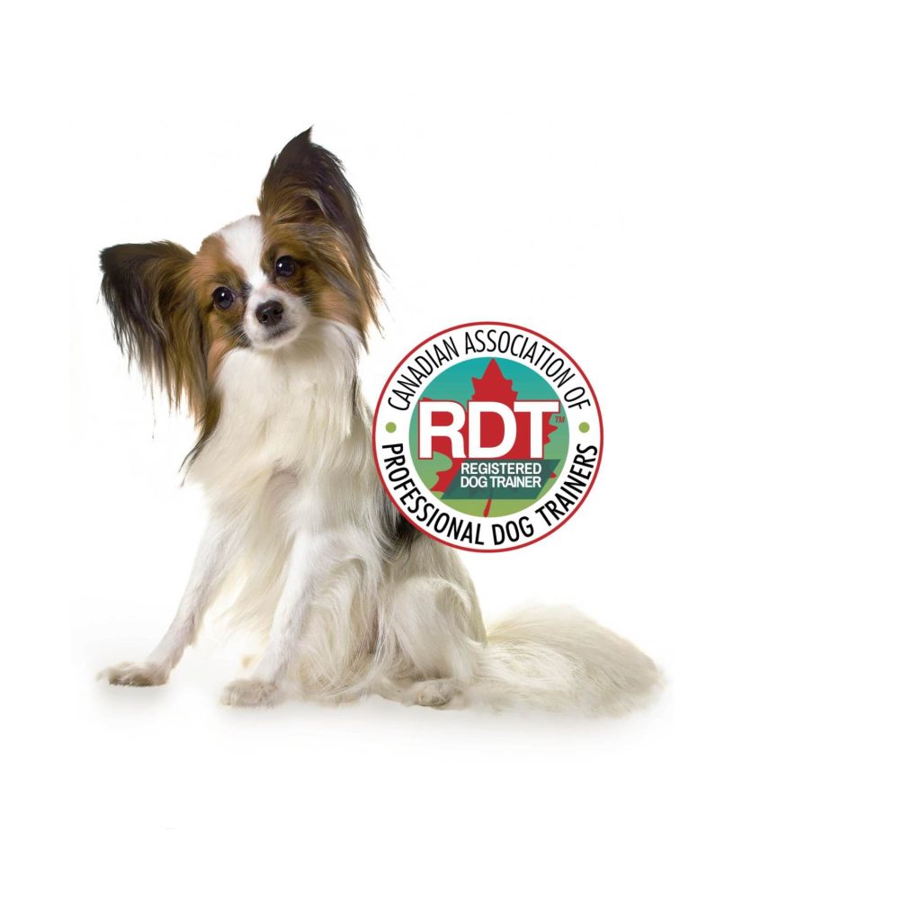 RDT registred dog trainer TM
