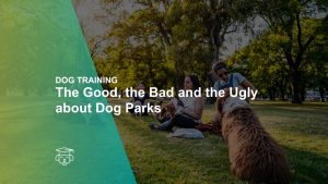 The Good, the Bad and the Ugly about Dog Parks