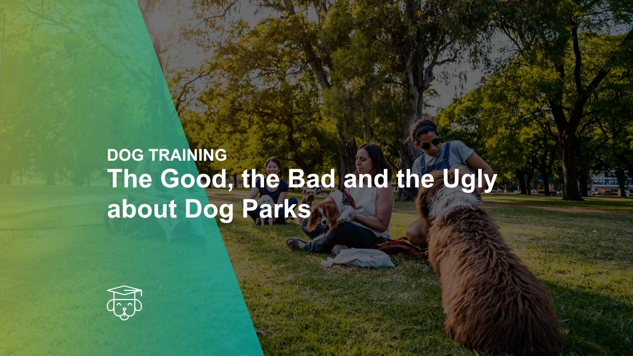 The Good, the Bad and the Ugly about Dog Parks