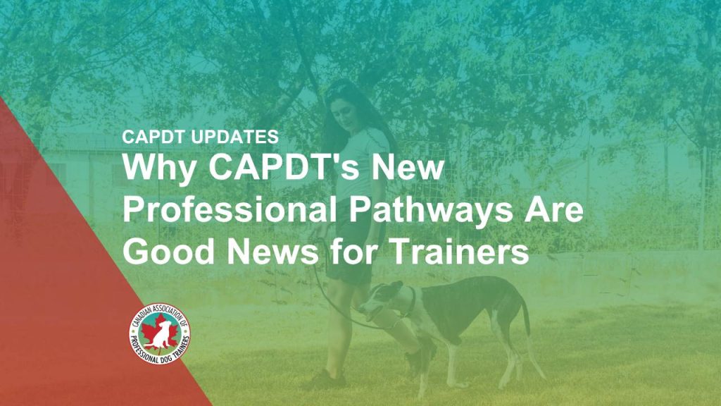 Why CAPDT's New Professional Pathways Are Good News for Trainers