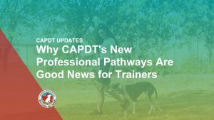 Why CAPDT's New Professional Pathways Are Good News for Trainers